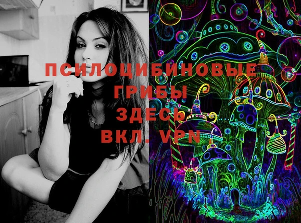 индика Горнозаводск