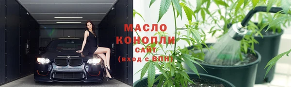 индика Горнозаводск