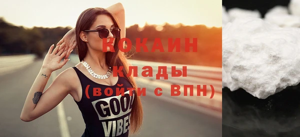 индика Горнозаводск