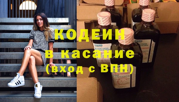 индика Горнозаводск
