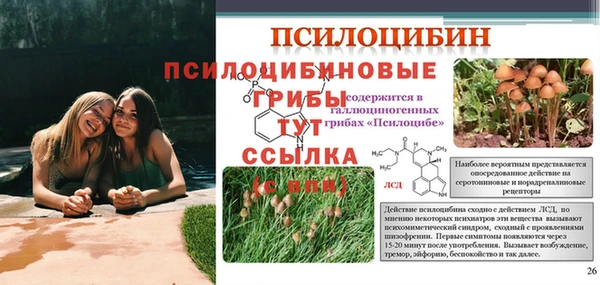 экстази Горняк