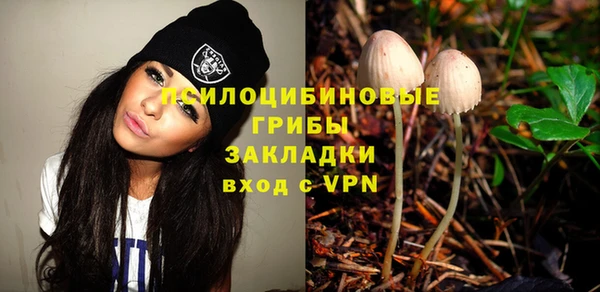 индика Горнозаводск