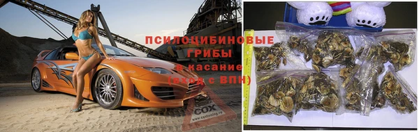 трава Горно-Алтайск