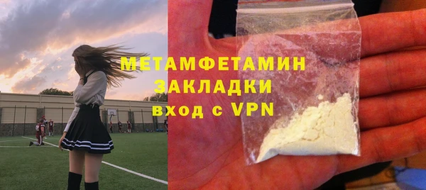 индика Горнозаводск