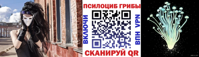 купить наркотики сайты  Звенигово  Псилоцибиновые грибы мухоморы 